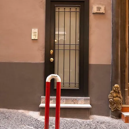 Cosmoneapolitan